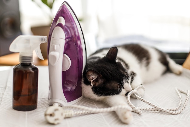 Laundry and housekeeping concept Cute black and white cat relaxing on ironing board in stylish room cozy moment Little helper at home Adorable lazy cat sleeping at iron on modern cloth