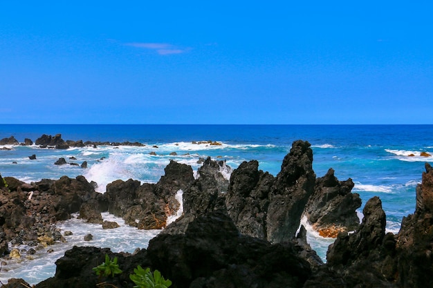 Laupahoehoe Beach Hawaii