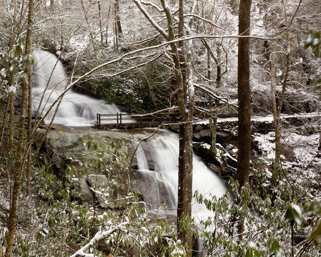 Laurel Falls in Smoky Mountains in de sneeuw