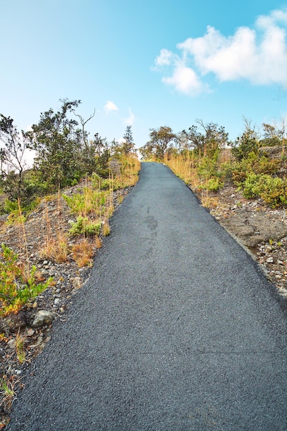 Lava from mouna kea hawaii road through landscape at mouna kea\
the most active volcano in hawaii big island hawaii usa