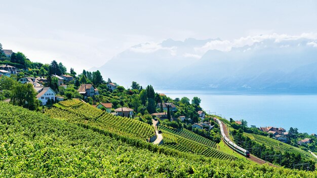 Lavaux Wijngaardterras van Zwitserland