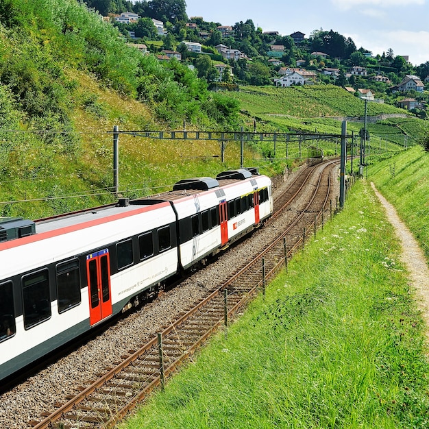 Lavaux, Zwitserland - 30 augustus 2016: Lopende trein in Vineyard Terrace-wandelpad van Lavaux, district Lavaux-Oron, Zwitsers
