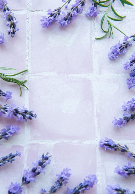 Lavendel bloeit en laat een creatief kader achter op een roze tegelachtergrond