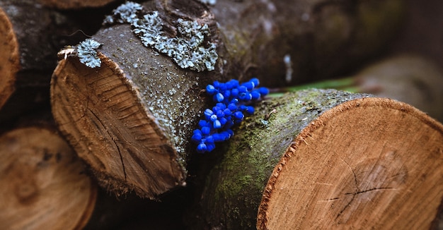 Lavendel bloemboeket op hout