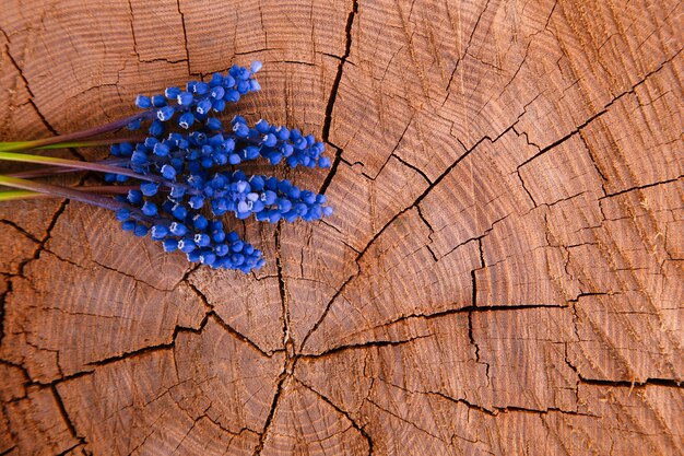 Lavendel bloemboeket op hout