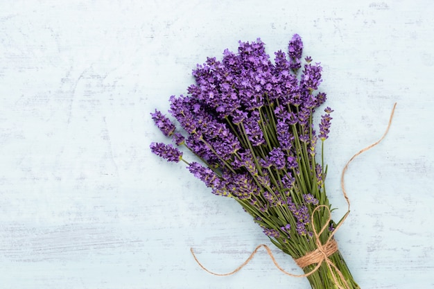 Lavendel bloemen bos gebonden geïsoleerd op een witte achtergrond