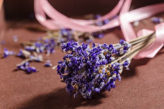 Lavendel bloemen bos