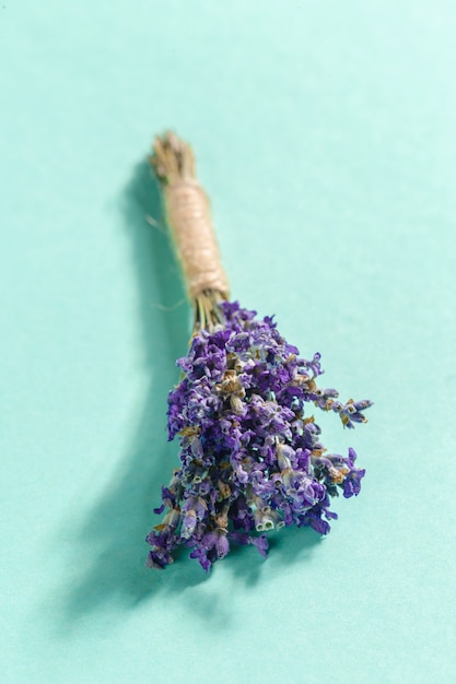 Lavendel bloemen bos