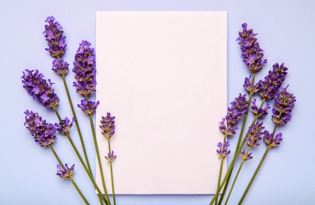 Foto lavendel bloemen en blanco papier op pastel achtergrond