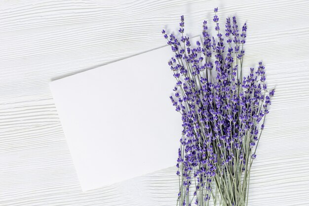 Lavendel bloemen en leeg papier