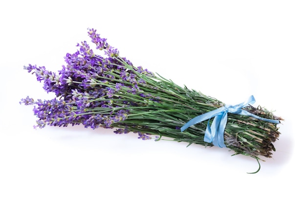 Lavendel bloemen