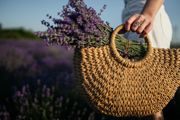 Lavendel in een mand Mand met lavendelbloemen Rieten mand met vers gesneden lavendelbloemen een veld met lavendelstruiken Het concept van spa aromatherapie cosmetologie Zachte selectieve aandacht