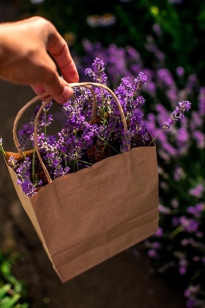 Foto lavendel in een mand