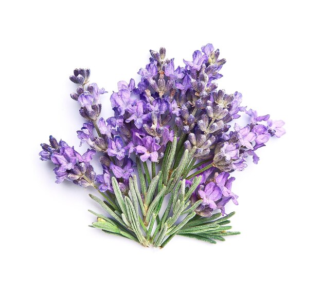 Lavendelbloem