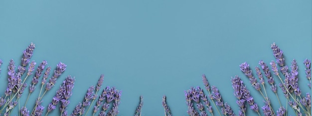 Lavendelbloemen op gekleurde achtergrond bovenaanzicht Kopieer ruimte Banner