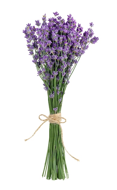 Lavender bouquet isolated on white background with clipping path