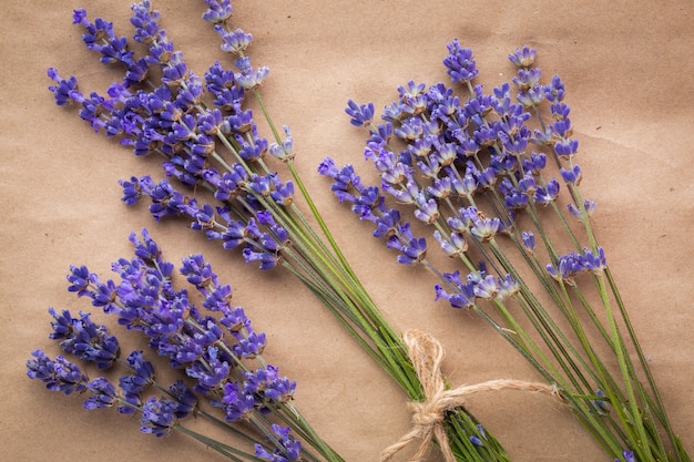 Mazzo della lavanda su fondo di carta