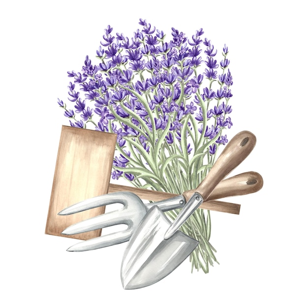 Lavender bunch with gardening tools flowers bouquet in vintage wicker bag trowel and rake hand drawn