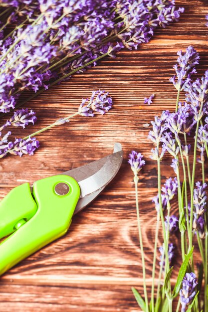 Foto taglio della lavanda - frese e fiori freschi sulla tavola di legno