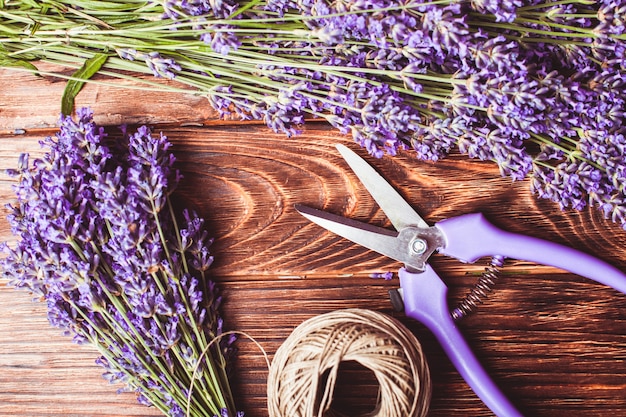 Lavender cutting