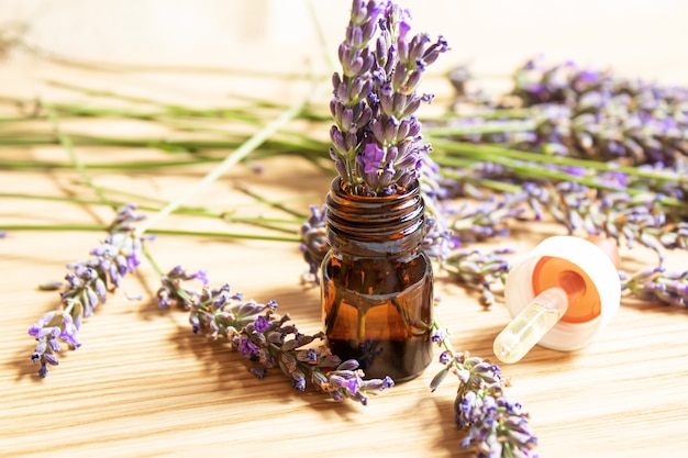 Lavender essential oil in a small bottle. Selective focus. nature.