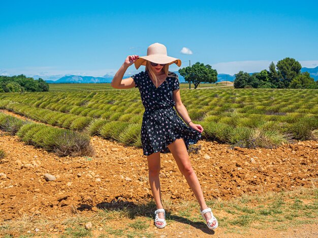 Lavender field in provence after cutting with young woman - fields of lavenda - southern france