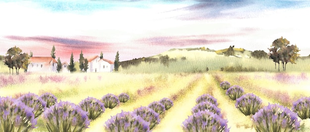 Photo lavender fields in bloom landscape with old houses trees cypresses hills with cloudy sunset sky