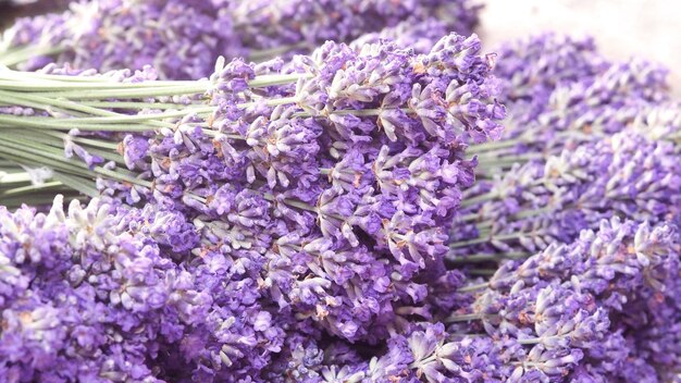 Lavender flower close up and blooming put on the wood table It give relax herb smell