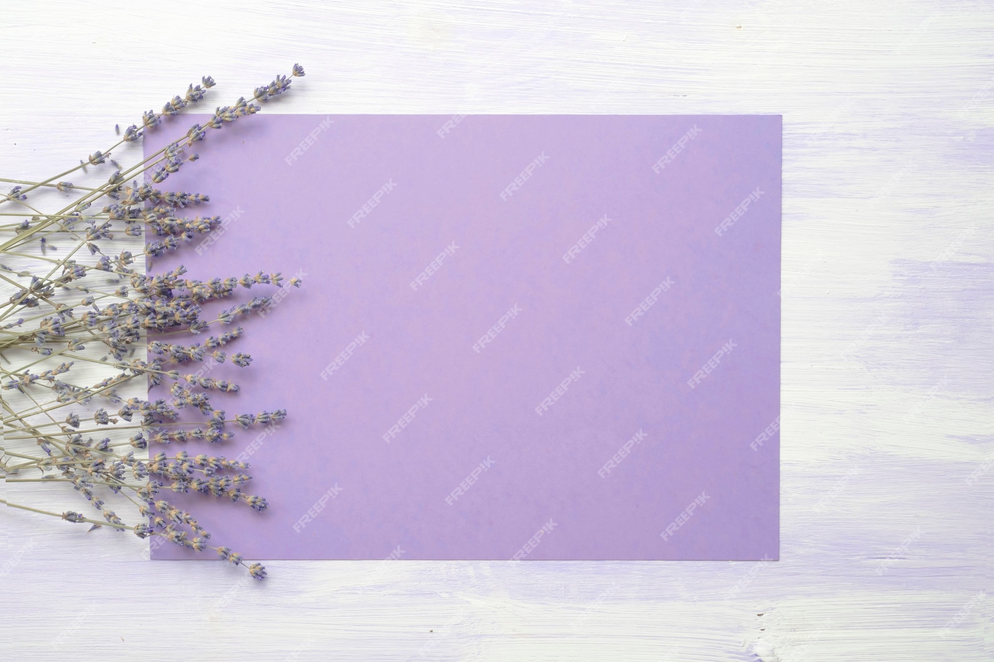 Page 8 | Lavender White Background Images - Free Download on Freepik