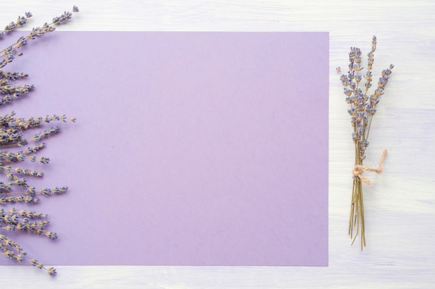 Lavender flower over the purple paper on backdrop