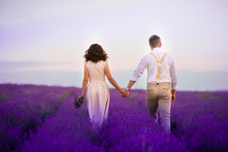 Photo 라벤더 꽃 피는 필드와 오르막 두 나무. valensole, 프로방스, 프랑스, 유럽.