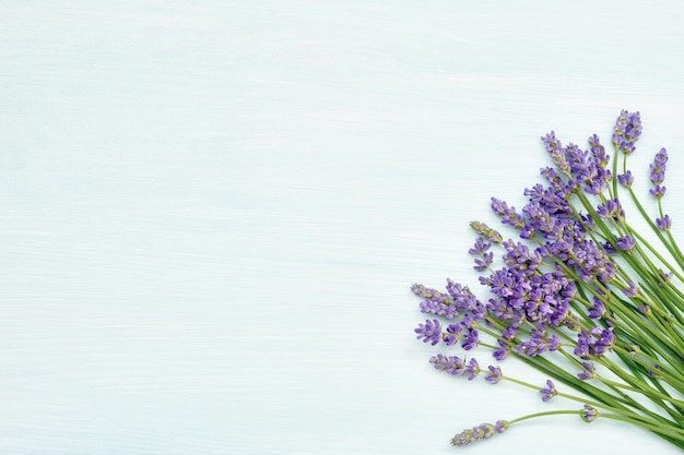 Lavender flowers bouquet on blue background.