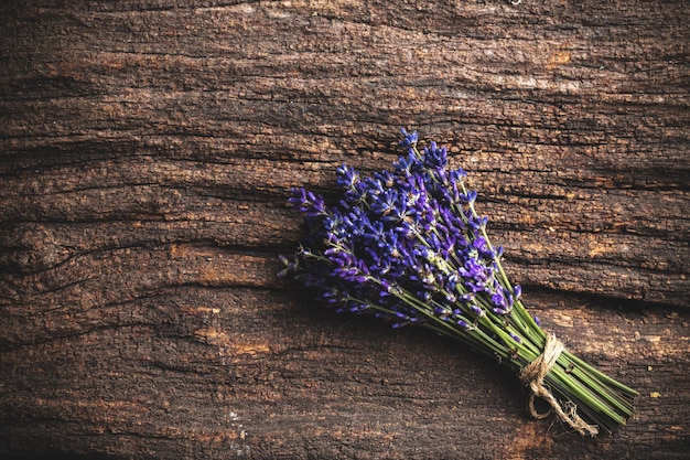 Lavender flowers bouquet