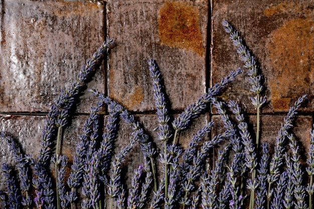 Lavender flowers on dark tile