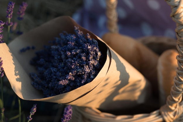 Lavender flowers on a field in summer in a wicker basket