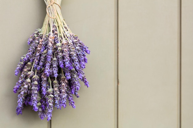 Lavender flowers on green background