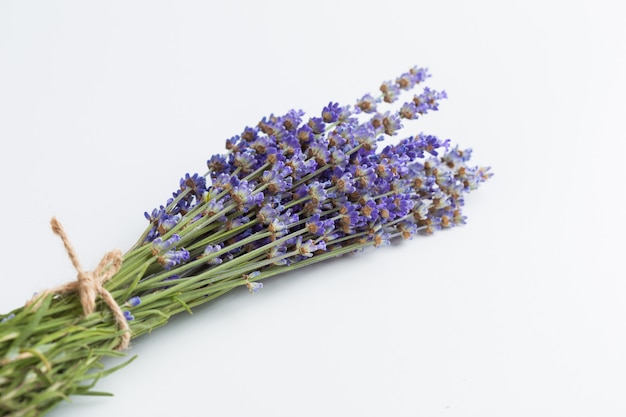 Lavender flowers isolated on white 