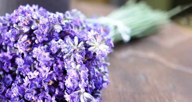 Lavender flowers in Japan. Lavender flowers blooming which have purple color and good fragrant for relaxing in summer season. Blooming Lavender at Furano North side of Hokkaido Japan.