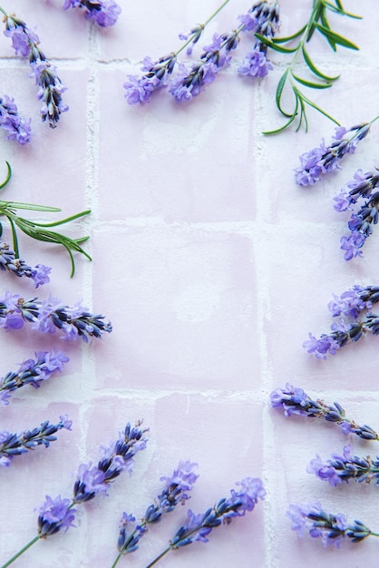 Lavender flowers and leaves creative frame on a pink tile background