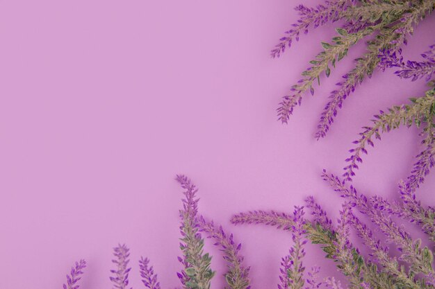 Фото Цветы лаванды лежат на фиолетовом фоне копировать пространство верхний вид