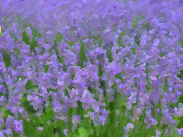 Lavender flowers oil paint