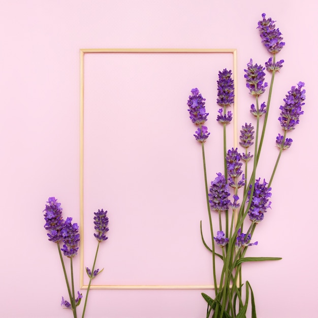 Lavender flowers on pink pastel surface. Top view.