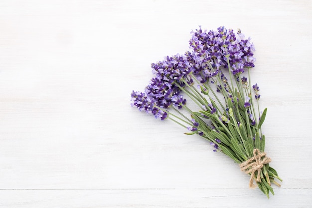 Lavender flowers on a white background.