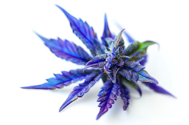 Lavender Hues of a Flourishing Cannabis Sativa Plant Botanical Prowess Generative AI