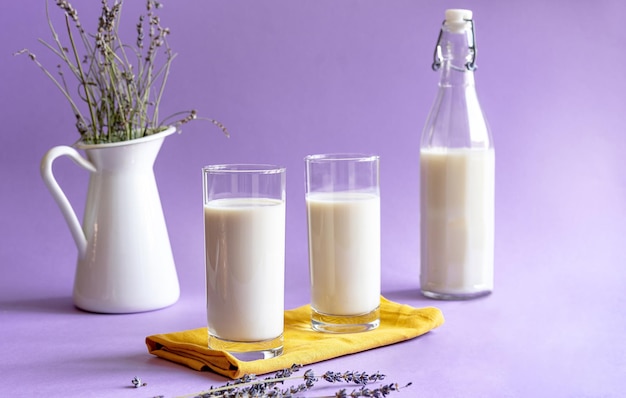 Lavender milk in glasses pea seeds white jug with lavender yellow napkin Lilac background Copy space