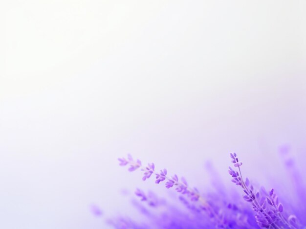 Photo lavender mist minimal abstract light background