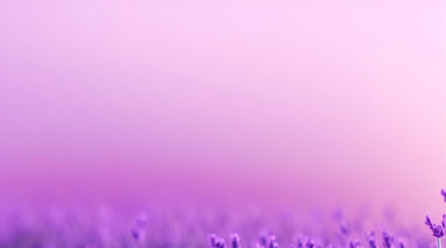 Lavender Mist Whisper Blur Abstract Background in Soft Lavender Hues