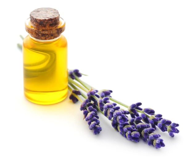 Lavender oil with flower over white background