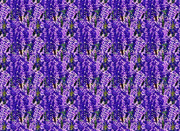 Lavender and purple flower seamless patterns for stunning floral wallpaper and backgrounds