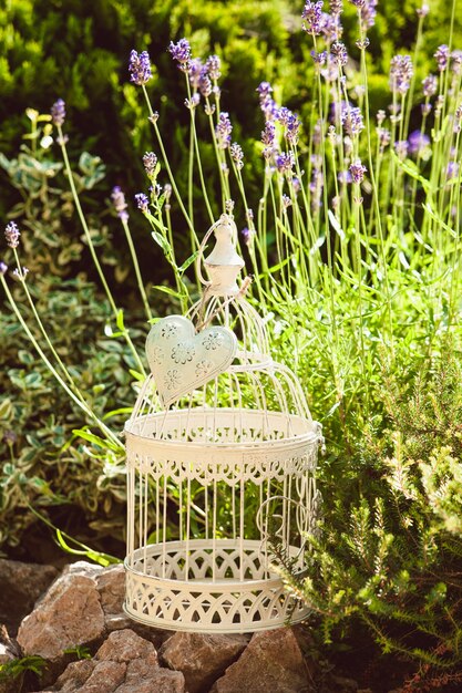 Lavender on rockery with birdcage decorations and rocks